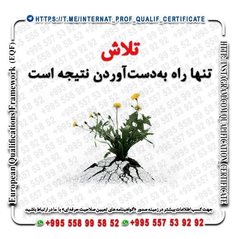مهارت شما ارزش فردی شماست: