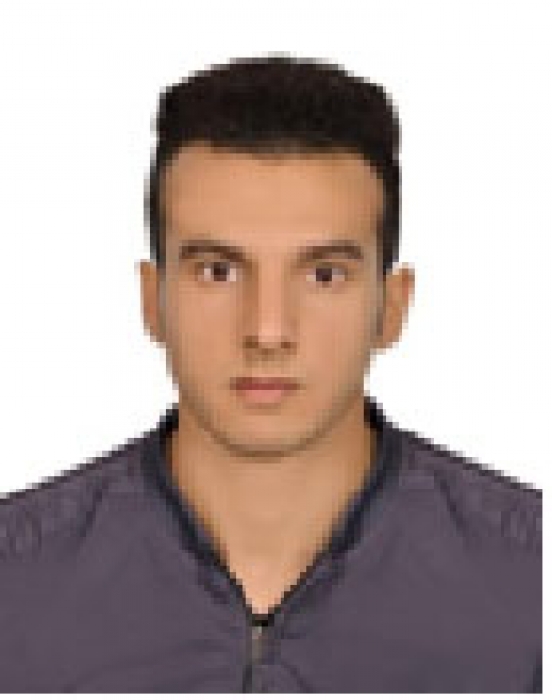 ALIREZA GHOLAMI
