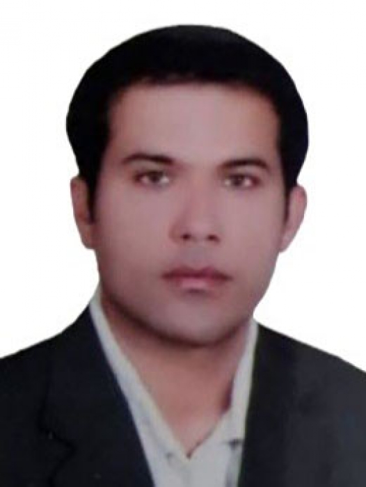 MEHDI HOSHYAR