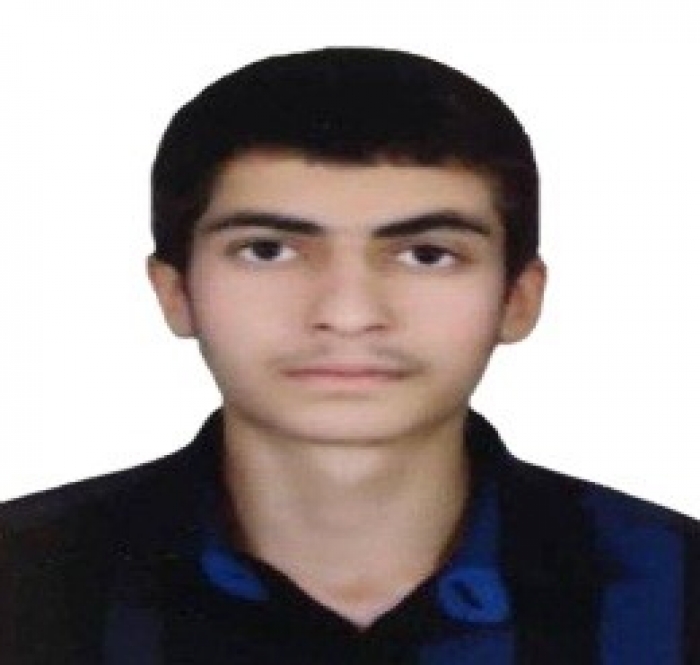 AMIR MOHAMMAD PAKDIN PARIZI