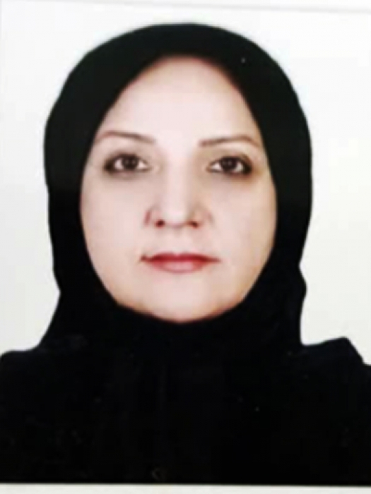 FAEGHEH MIRZA GHOLI ZADEH