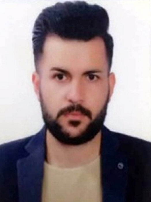 HAMID MIRZAYE