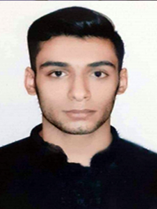 ALI JAMSHIDI