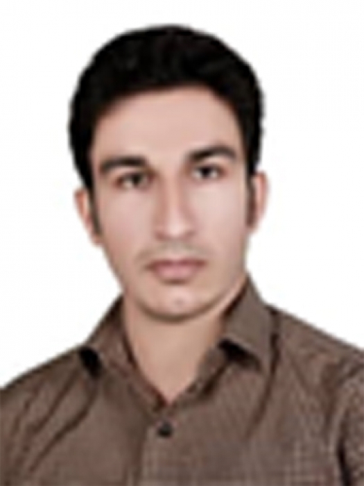HAMID MOHAMMADI