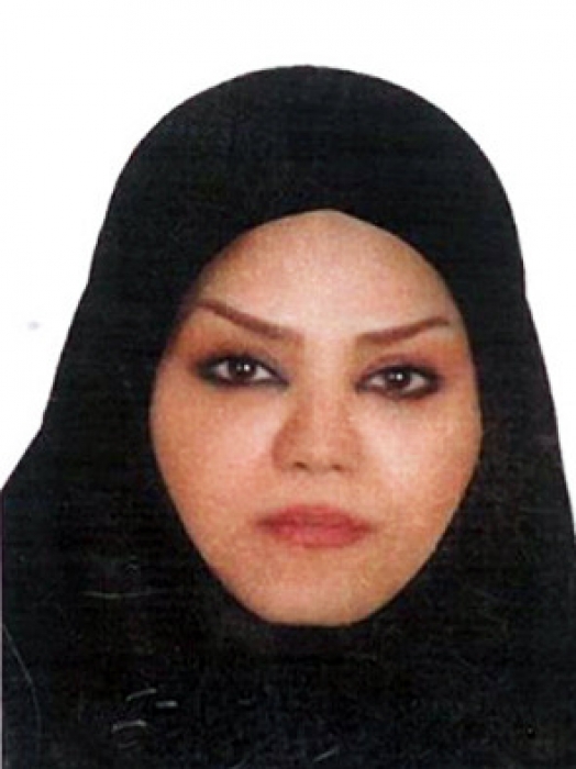 ZAHRA ARBABI SANI