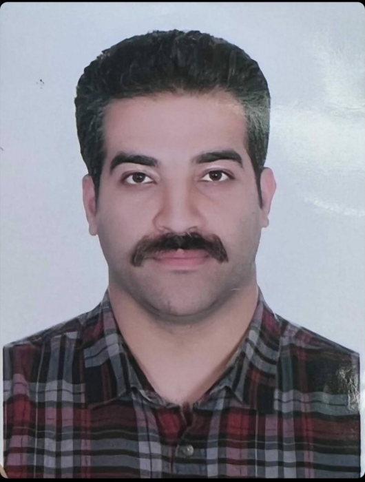 FARZIN GHARIBLALDEVINI