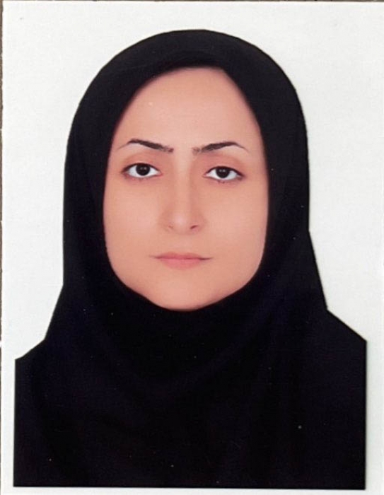 HAFSEH SHAMSI